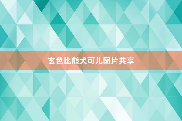 玄色比熊犬可儿图片共享